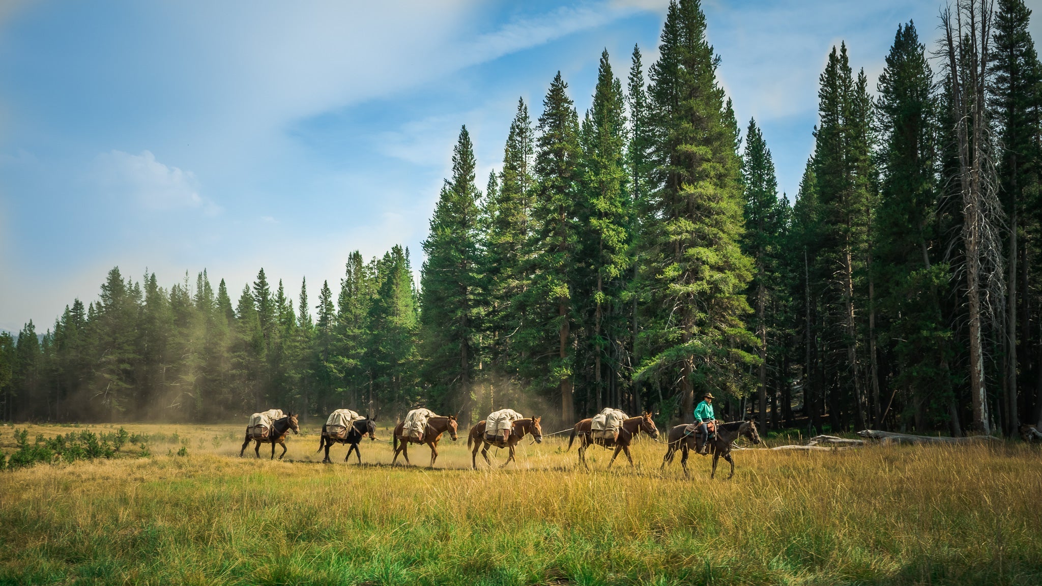 Issue 004 — The Photography Edition