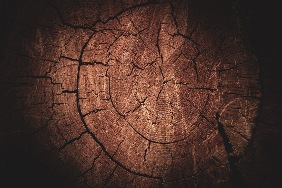 Issue 012 - Yosemite Rings