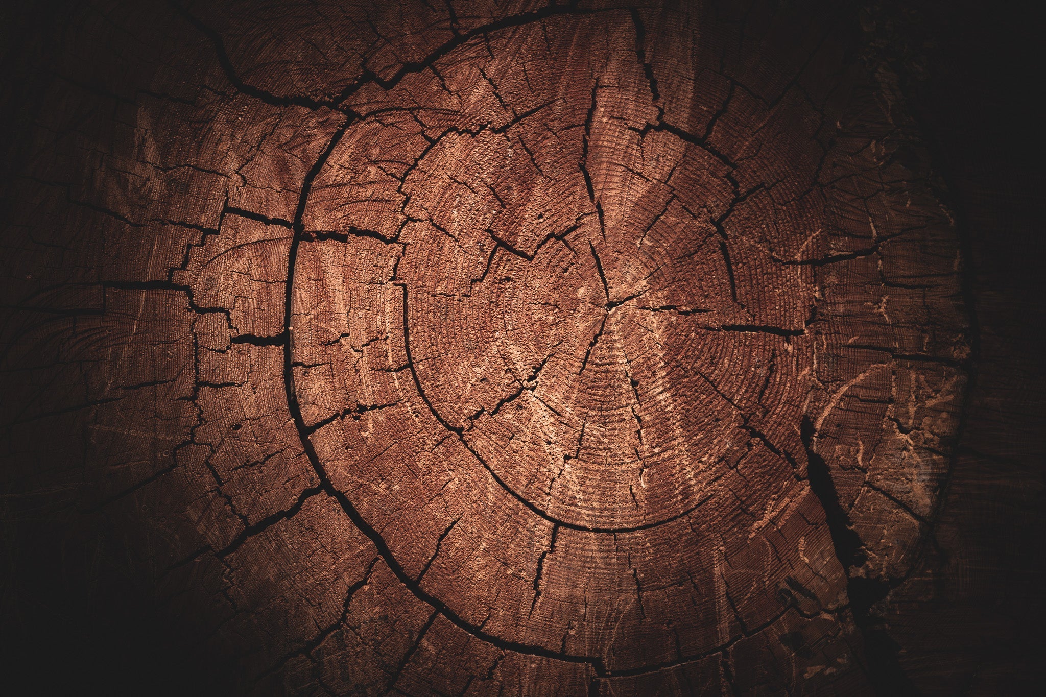 Issue 012 - Yosemite Rings